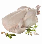 Pollo Nº9